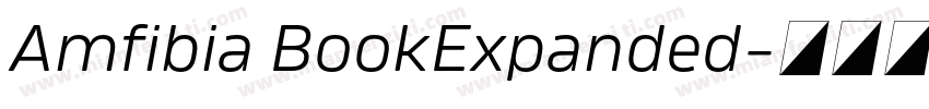 Amfibia BookExpanded字体转换